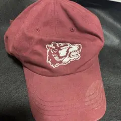 実物　Forward Observations Group キャップ　マルチカム Forward Observations Group MultiCam F Dad Hat | eBay