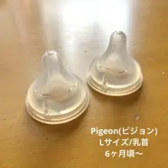 ○Pigeon(ピジョン)/哺乳瓶用乳首/ Lサイズ/2個セット○