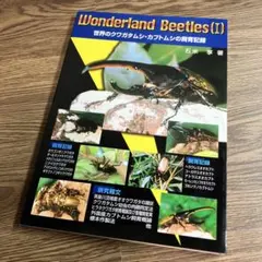 世界のクワガタムシ・カブトムシの飼育記録 夏休み 自由研究