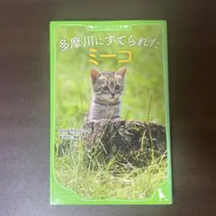 多摩川にすてられたミーコ