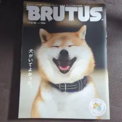 BRUTUS 4月15日号