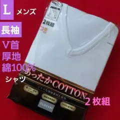 Item thumbnail for item a8de178c-d38b-45a4-b4ce-80ace47d49e8