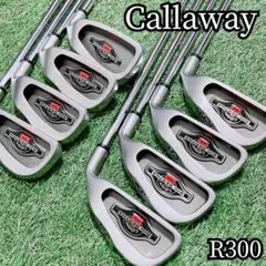Callaway キャロウェイ◆BigBertha◆8本◆3-9P◆R300