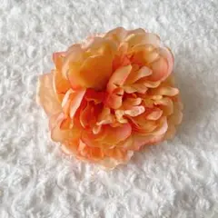 Item thumbnail for item 03a50ec4-0ed0-4adb-84e5-05b846f2e879