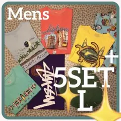 メンズ✴︎Lサイズ✴︎USA✴︎ハワイ✴︎5セット✴︎Tシャツ✴︎アメリカ＆ポルトガル