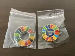 【正規品】SDGsピンバッジ 2個セット