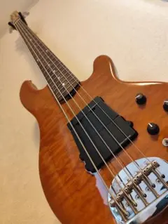 LAKLAND bartolini 5弦 dipスイッチ 旧ノブ LAKLAND bartolini 5弦 dipスイッチ 旧ノブ LAKLAND SK 5-DX