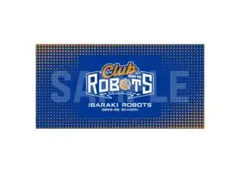 Item thumbnail for item 5fe1109b-789a-4279-b4ad-c68fa37be87c