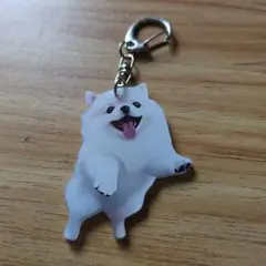 新品未使用の可愛い白いポメラニアン キーホルダー