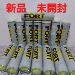 DUNLOP FORT テニスボール 新品 未使用 ダンロップフォート 60球