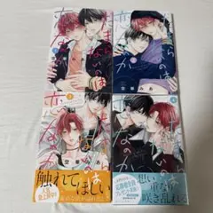 たまらないのは恋なのか全巻セット