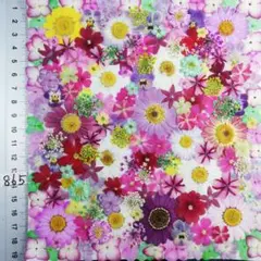 押し花素材　NO865 ノースボール ビオラ 紫陽花　バーベナ 小花　 押し花