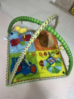 はらぺこあおむし　アクティビティプレイジム　美品　直接渡し4000円 はらぺこあおむし アクティビティプレイジム – はらぺこあおむし