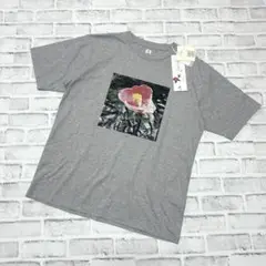 新品✨タグ付き ベータメン プリントTシャツ つばき グレー メンズ M