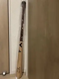 Item thumbnail for item ba09bba3-428a-484f-8a4d-ec71d9c8f550