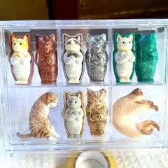 ミイラ・キャット