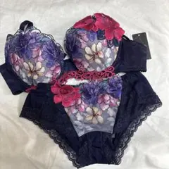 サルート E80 ブラジャーショーツセット salute