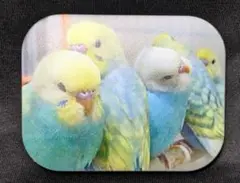 Item thumbnail for item d59d04ec-eaee-408e-b78e-f8987e5c1ce0