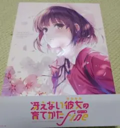 本日限定価格)blu-ray 冴えない彼女(ヒロイン)の育てかた Fine