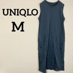 Item thumbnail for item 7028a52d-a3b5-47ee-b0c1-fd29561ac542