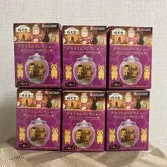 【新品未開封】　ふしぎ駄菓子屋　銭天堂　テラリウムコレクション　全6種セット