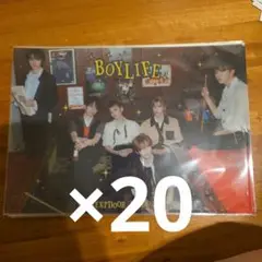 本日発送 BOYLIFE クリアポスター 20セット
