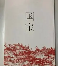 映画　国宝 パンフレット 新品 未読 吉沢亮 横浜流星