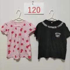 いちご柄 ブラック　Tシャツ 　セット　120cm