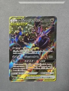 アーゴヨン＆アクジキングGX SR × 1枚