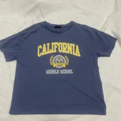 Item thumbnail for item f10e4b99-b3a8-42e2-a407-a9d68cc7c7d3