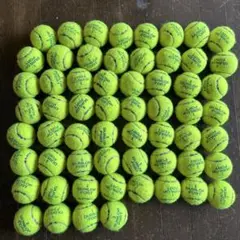 DUNLOP FORT 硬式テニスボール 60個