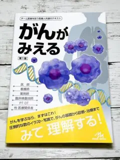 がんがみえる = Oncology:An Illustrated Refere…