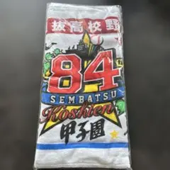 Item thumbnail for item 378b2e30-0701-41f1-a259-0131575c1d35