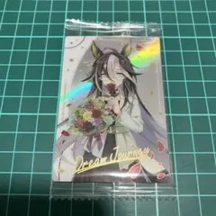 ドリームジャーニー　ウマ娘　ツインウエハース　Special R 2025