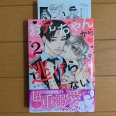 お兄ちゃんから逃げられない!～童貞非処女になりました2　アニメイト限定ペーパー付