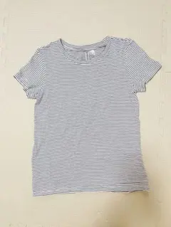 ストライプ 半袖 Tシャツ M