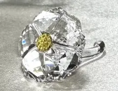 Swarovski 『Wild Flower』 2017年 SCS会員限定