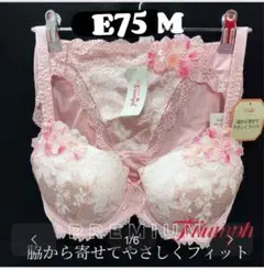 E75 トリンププレミアム レッドレーベル 0073 ブラジャー&ショーツ