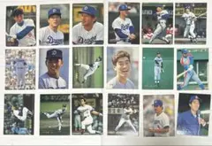 中日ドラゴンズ　野球チップス　カード　1900年代