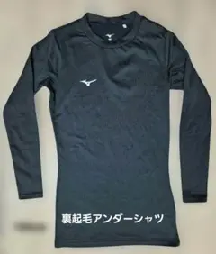 Item thumbnail for item 61a11393-9b92-4e57-9eee-40900817a171