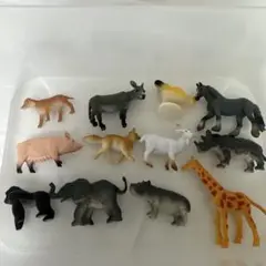 動物　アニマル　フィギュアセット
