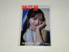 小栗有以 Oh my pumpkin セブンネット限定 外付け 生写真 1枚