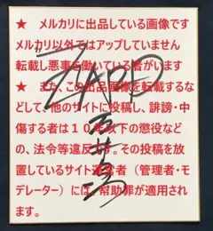 【当選品・非売品】 ZARD 坂井泉 ＋ 小西康陽 レコード LP 当選品・非売品】 ZARD 坂井泉 ＋ 小西康陽 レコード LP