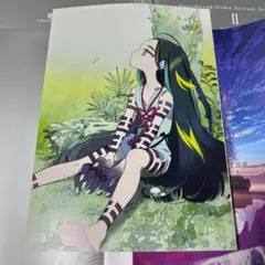 FGO 最終再臨画集 徴姉妹 太歳星君