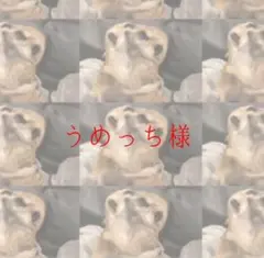 お客様オーダー