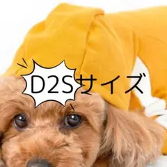 Item thumbnail for item 182609c0-9dc0-4141-864b-0ba00a6b24c7