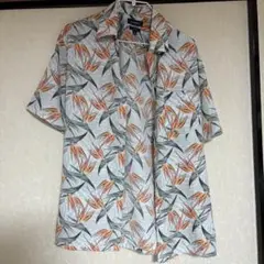 Item thumbnail for item c0ffb357-845b-44e8-8eb3-9b6f489c0589