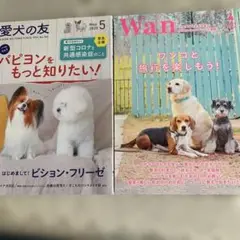 Item thumbnail for item 2f5c2c72-2cdd-4490-9d5c-f173ba25ef05