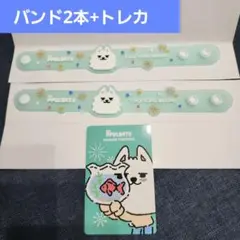 PPULBATU SUMMER TOGETHER ラバーバンド ヨンモン 2本
