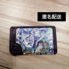未使用　フレンダ　オーガポン水　いどのめん